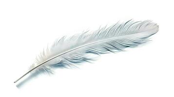 oiseau plume sur blanc Contexte. magnifique oiseau plumage ou aile élément, isolé lisse plume. généré ai. photo