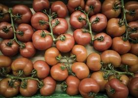 tomates de vigne dans un marché photo