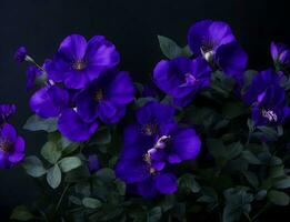 bleu violet fleurs foncé Contexte photo