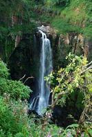 belle cascade dans les montagnes. paysage, photo