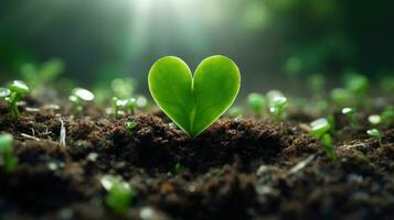 plante croissance en dehors de une cœur en forme de sol avec bokeh Contexte. photo