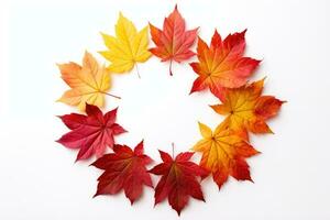 magnifique l'automne la nature Contexte de érable feuilles photo