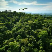 dense, vert émeraude jungle scène avec une vibrant perroquet en volant au milieu de le feuillage ai génératif photo
