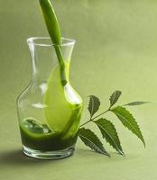 jus et feuilles de neem médicinal photo