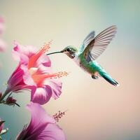 minimaliste Capturer de une colibri en plein vol sirotant nectar de un exotique fleur ai génératif photo