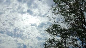 photo de le ciel dans le campagne