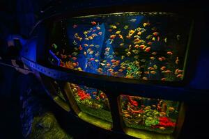 ancien vieux sous-marin sous-marin avec des poissons à l'intérieur à océanarium exposition. photo