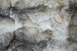 Contexte image de fourrure. fourrure texture. Naturel la laine photo