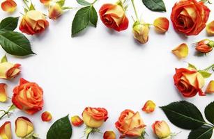 composition de fleurs. cadre fait de roses rouges et de feuilles sur fond blanc photo