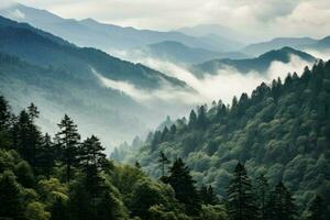 enfumé nuageux montagnes des arbres paysage. produire ai photo