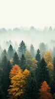 brumeux forêt pendant l'automne avec grand des arbres et multicolore feuilles, fournir ample copie espace ai génératif photo