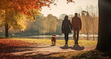 une couple et chien en marchant dans le forêt photo