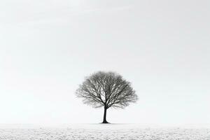 incorporant solitude - monochromatique image de une seul arbre moulage ombres contre une rigide blanc Contexte ai génératif photo