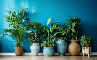 le intérieur mis en pot les plantes décoration dans moderne pièce avec une en bois sol et bleu mur. ai génératif photo