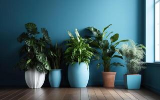 le intérieur mis en pot les plantes décoration dans moderne pièce avec une en bois sol et bleu mur. ai génératif photo