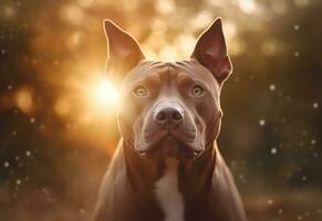 là est une chien cette est à la recherche à le caméra avec le Soleil dans le Contexte. génératif ai. photo