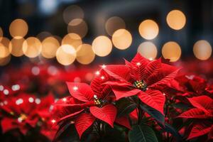 une rouge poinsettia usine, doux Noël lumières dans Contexte. vacances saison concept, de fête atmosphère. ai généré. photo