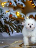 ai généré fermer une duveteux blanc chiot traîner par une hiver pays des merveilles souffle visible dans le du froid air photo