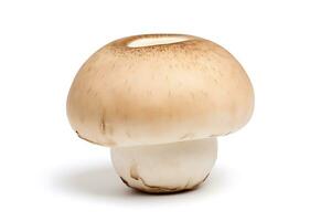 champignon isolé sur blanc Contexte ai généré photo