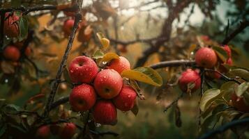 rouge pommes sur une arbre. c'est il pleut photographié jardin, génératif ai photo