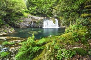 cascade au milieu de la forêt photo