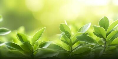 proche en haut de la nature vue vert feuille sur flou verdure Contexte. génératif ai photo