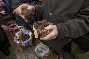 Marché traditionnel aux truffes noires à Lalbenque, France photo