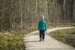 une garçon des promenades le long de une chemin dans une vert parc. le chemin est une pont plus de le lac. photo