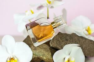 une parfum bouteille des stands sur une pierre contre une Contexte de magnifique orchidées. élégant apparence, mise en page, personnalité. bannière, une endroit pour le texte. photo