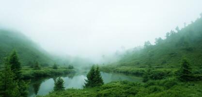 ruisseau entre vallées milieu rivière la nature dans une brumeux forêt 3d illustration photo