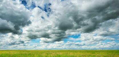 herbe champ herbe et ciel Contexte horizon panorama 3d illustration photo