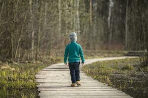 une garçon des promenades le long de une chemin dans une vert parc. le chemin est une pont plus de le lac. photo