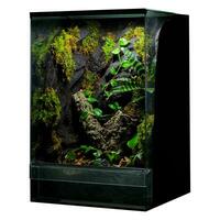 illuminé reptile terrarium avec végétation photo