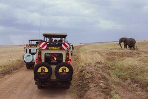 jeep safari dans maasaï mara nationale parc Kenya photo