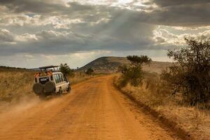 jeep safari dans maasaï mara nationale parc Kenya photo