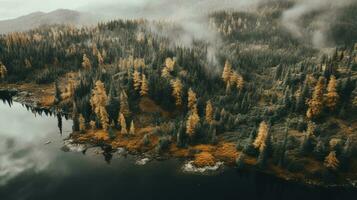 génératif ai, l'automne coloré forêt magnifique paysage dans branché ancien rétro style, en sourdine neutre couleurs. photo