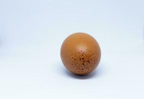 un œuf de poule sur fond blanc photo