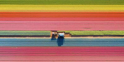 génératif ai, ferme coloré paysage, agricole des champs, magnifique campagne, pays route. la nature illustration, Haut vue drone, horizontal bannière. photo