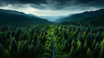 Haut vue de une dense vert forêt dans nature, drone vue de le réserve. ai généré photo