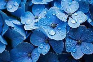 vibrant bleu hortensia. produire ai photo