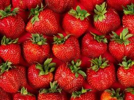 fraises fraîchement cueillies, fond de fraise, baie de saison photo