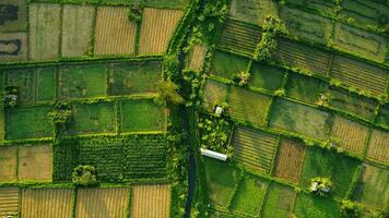 paysage ferme drone Haut vue photo