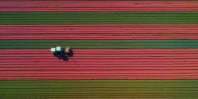 génératif ai, ferme coloré paysage, agricole des champs, magnifique campagne, pays route. la nature illustration, Haut vue drone, horizontal bannière. photo