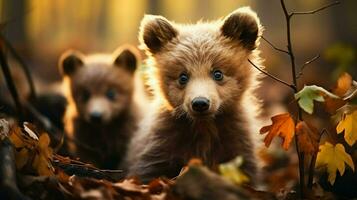 deux marron ours dans le forêt en haut fermer. faune scène de printemps nature, ai génératif photo