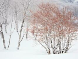 minimaliste hiver paysage composition ai génératif photo