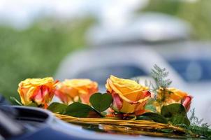 photographie en gros plan. décoration de voiture de mariage de roses jaunes. photo