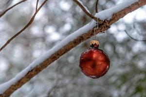 boule de noël rouge sur une branche de bois couverte de neige. photo