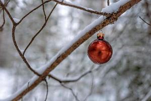 boule de noël rouge sur une branche de bois couverte de neige. photo