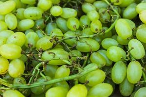 raisins verts sur brindille