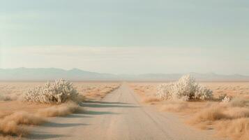 génératif ai, solitaire route dans le désert, esthétique, en sourdine neutre couleurs, cactus les plantes photo